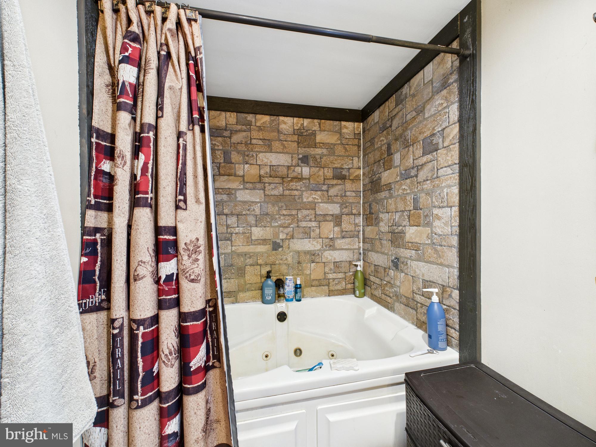 11161 Roland Parks Road Chance, MD 21821 - Photo 11 of 58 Primary en suite bathroom