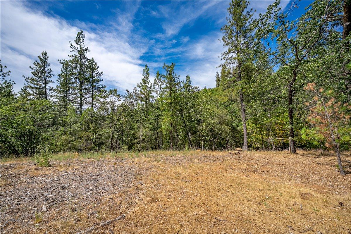 22600 Plumtree Road Colfax, CA 95713 - Photo 15 of 37