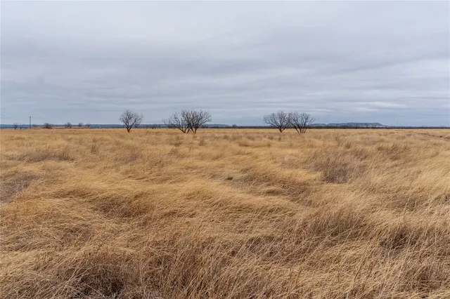 $102,350 | T4 County Road 204, Ovalo, TX 79541