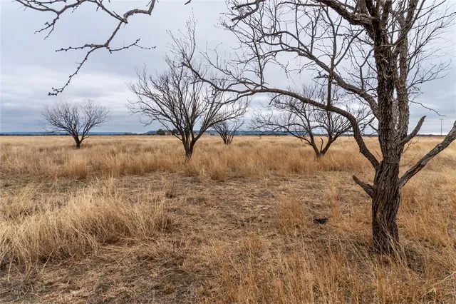 $102,350 | T4 County Road 204, Ovalo, TX 79541