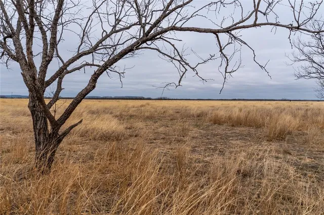 $102,350 | T4 County Road 204, Ovalo, TX 79541