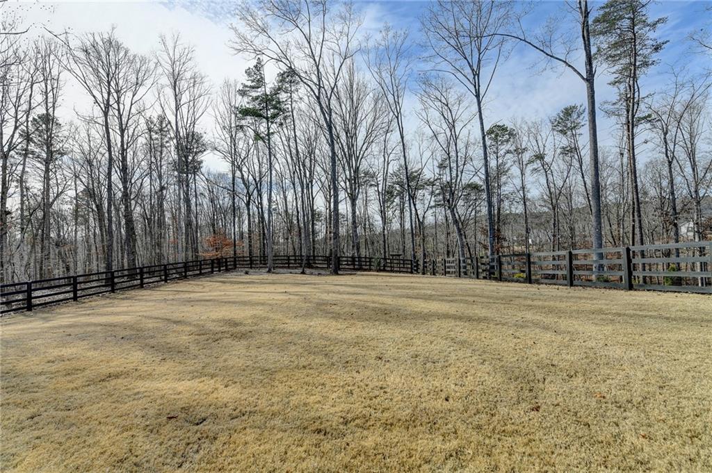 165 Birmingham Road Ball Ground, GA 30107 - Photo 41 of 51