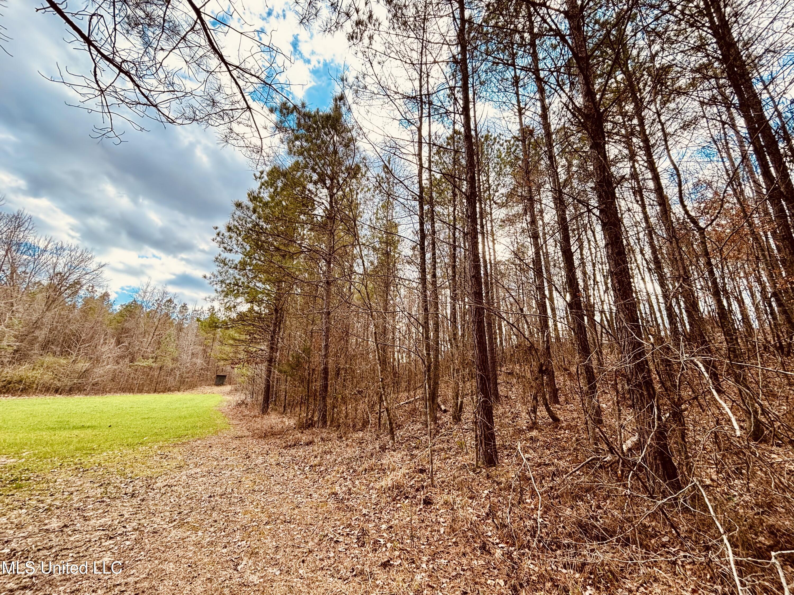 5854 Sand Hill Road Lexington, MS 39095 - Photo 20 of 45 IMG_0364