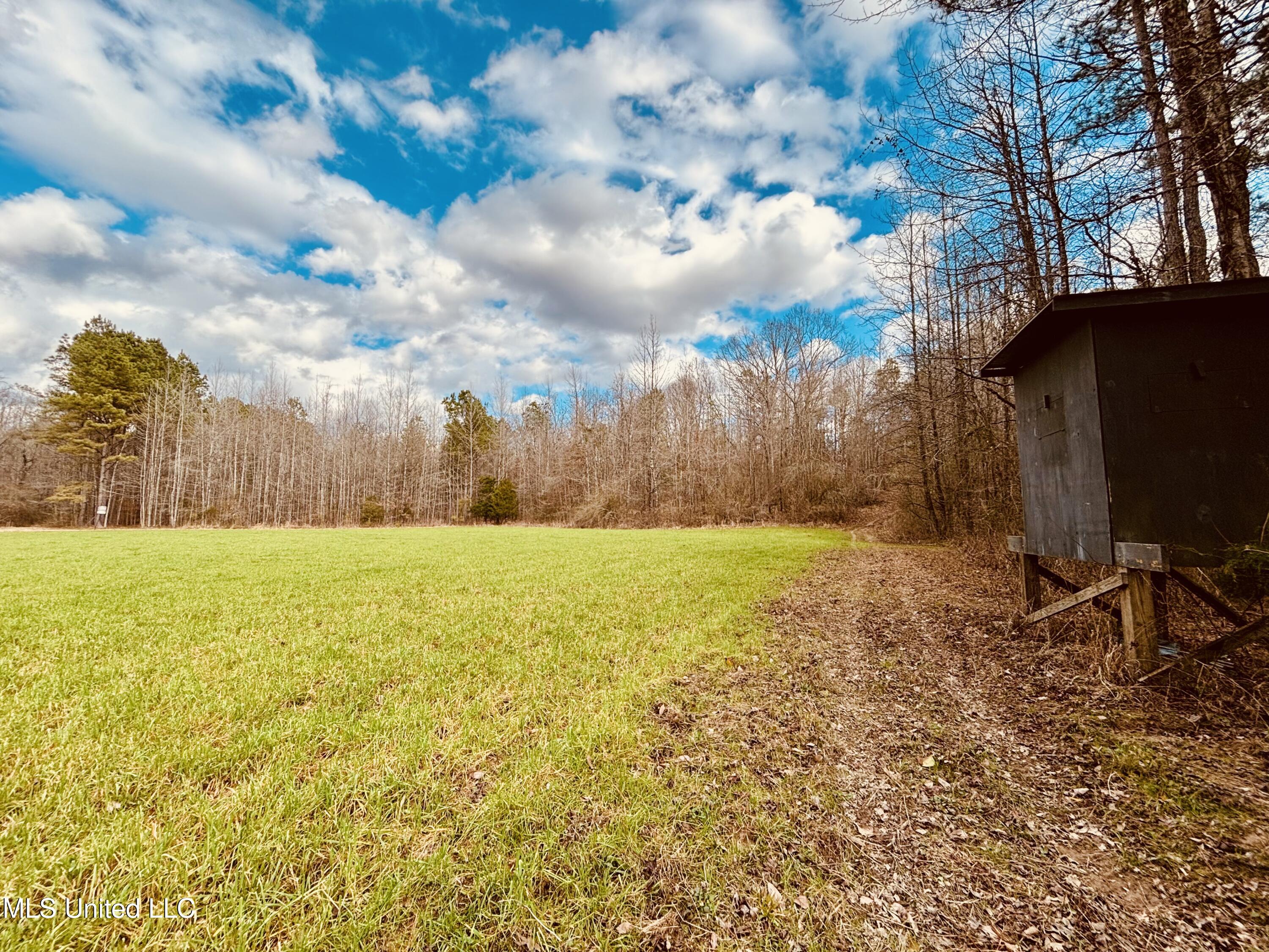 5854 Sand Hill Road Lexington, MS 39095 - Photo 2 of 45 IMG_0330