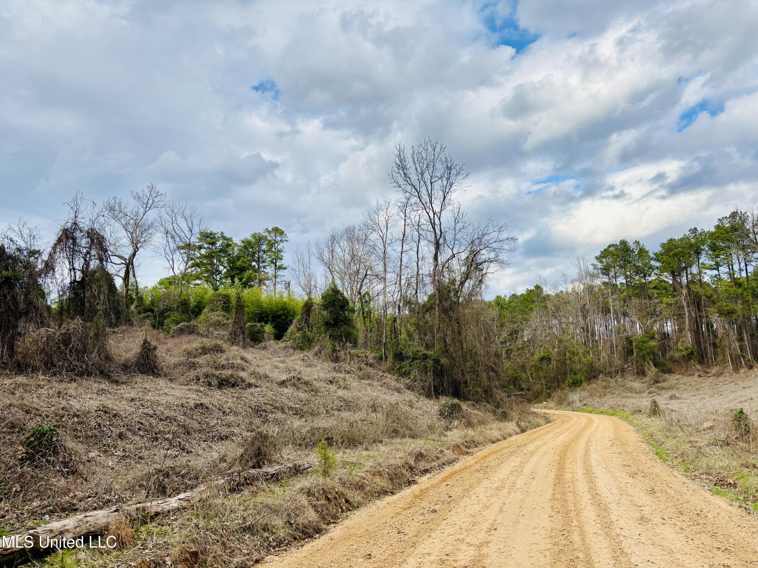 5854 Sand Hill Road Lexington, MS 39095 - Photo 42 of 45 IMG_0373