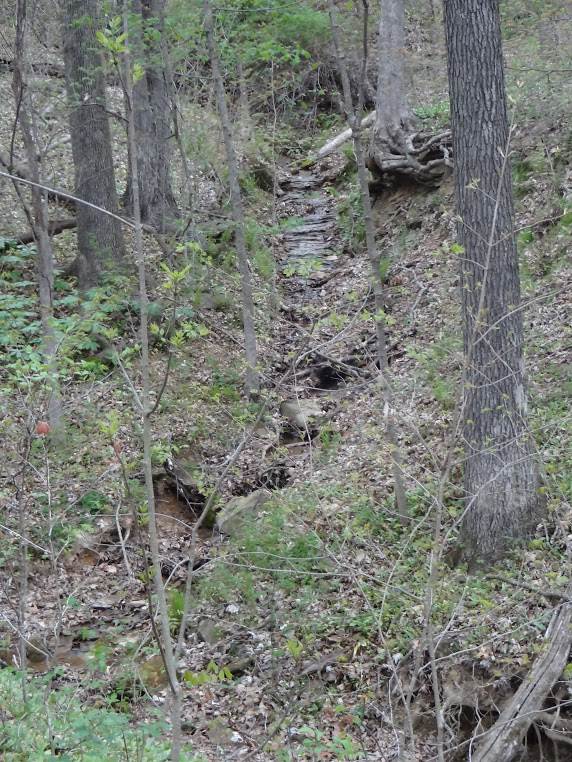 Worland Road Coal City, IN 47427 - Photo 5 of 11 Gallery Image 5