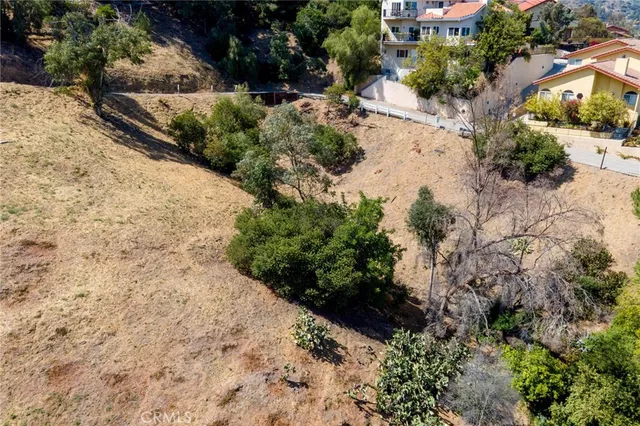 a view of a yard with plants and trees