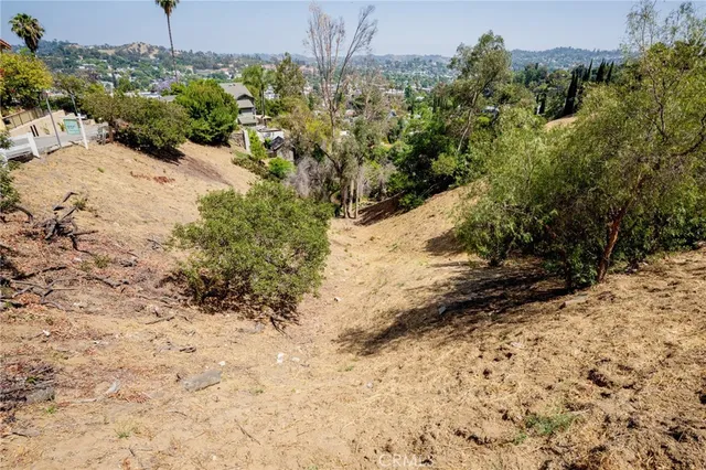 a view of a yard with plants and trees
