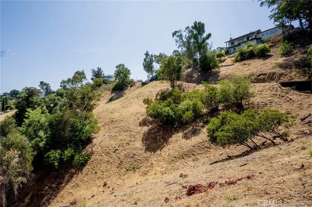 a view of a big yard with large trees