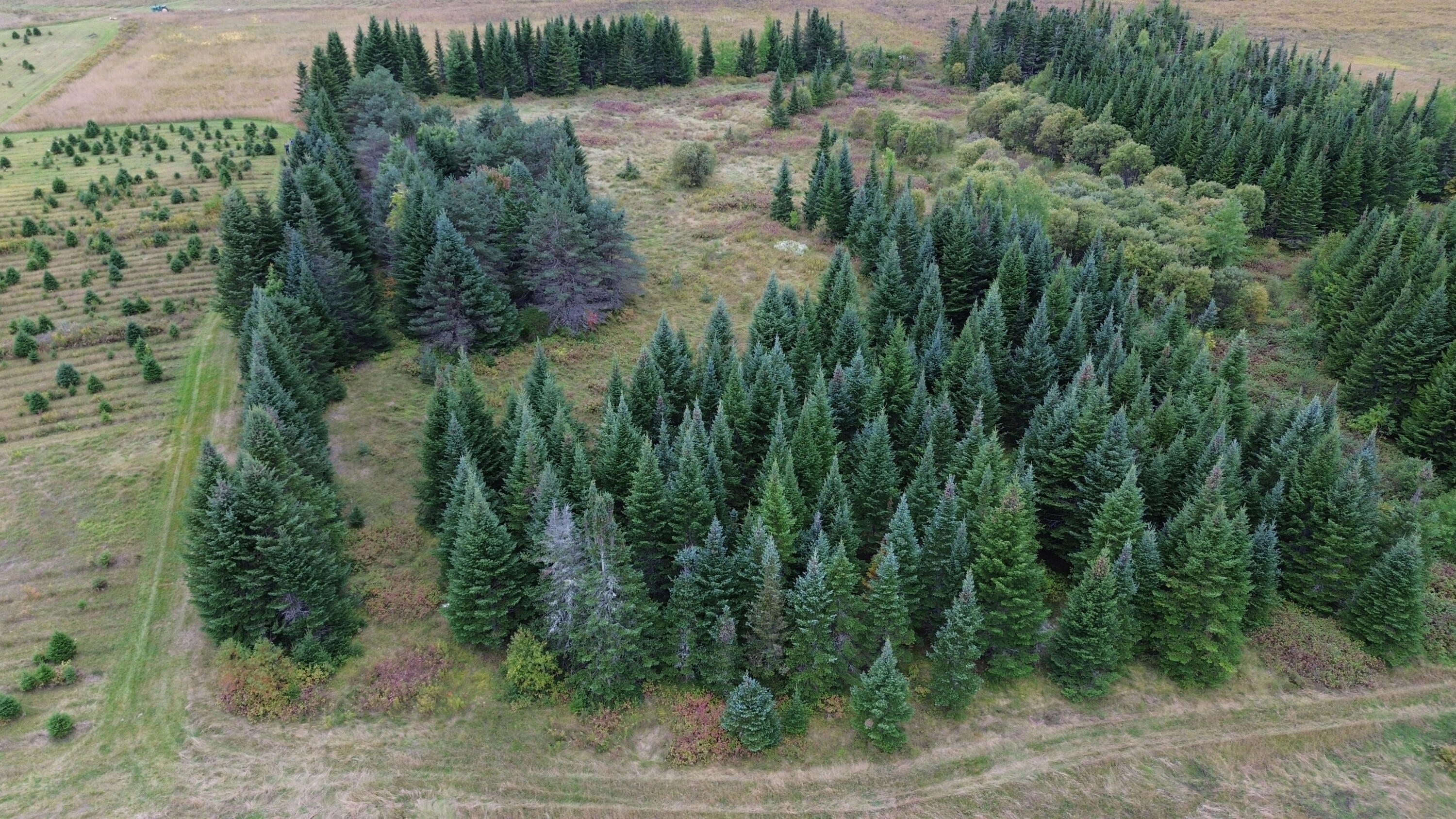 0 West Ridge Road Littleton, ME 04730 - Photo 5 of 25 DJI_0046