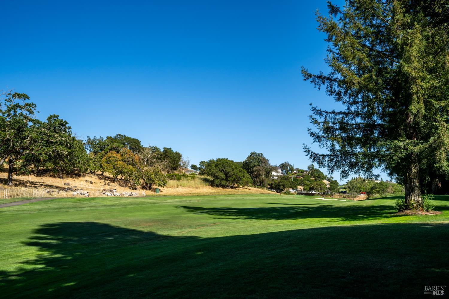 2015 Stonefield Lane Santa Rosa, CA 95403 - Photo 43 of 44