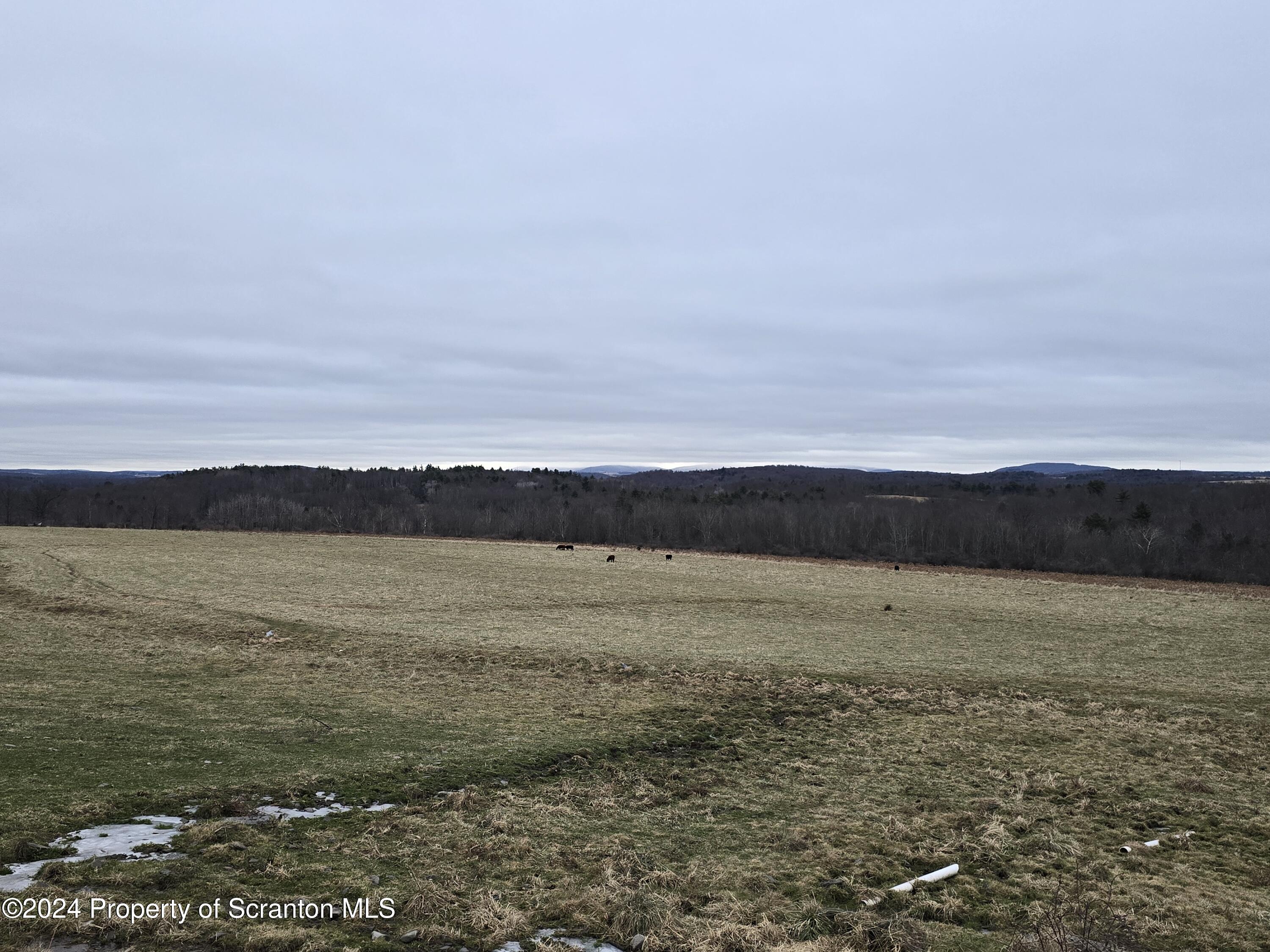 262 Spencer Hill Road Nicholson, PA 18446 - Photo 19 of 42 20241216_161033