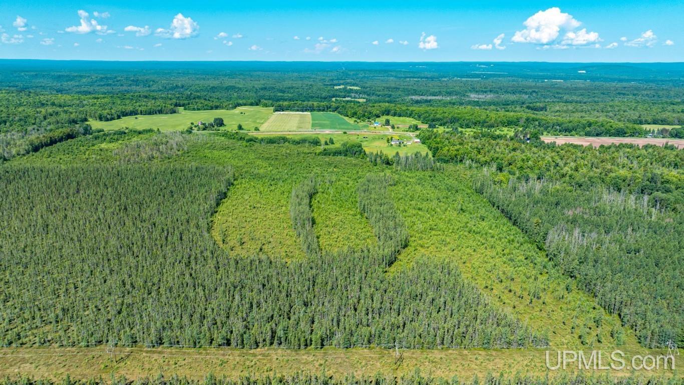 16995 Grist Mill Road Baraga, MI 49908 - Photo 54 of 58