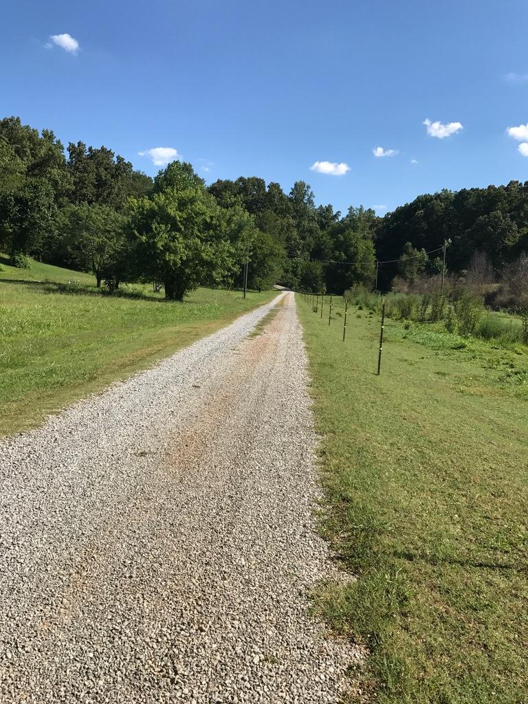 2125 Niles Ferry Road Greenback, TN 37742 - Photo 11 of 33 thumb_IMG_0682_1024
