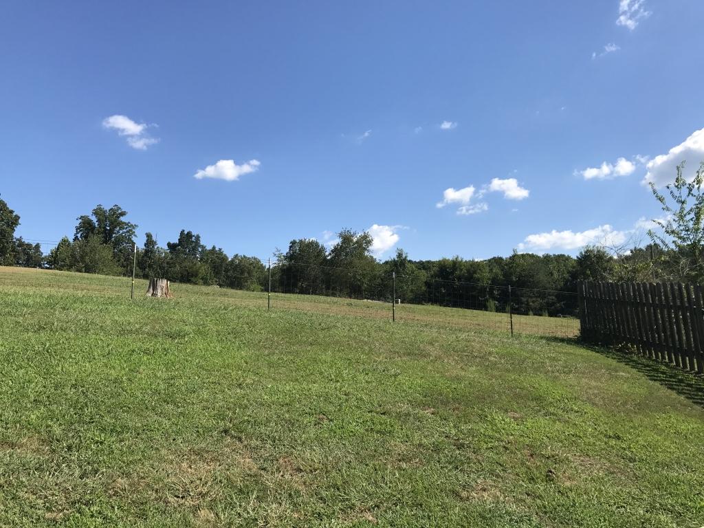 2125 Niles Ferry Road Greenback, TN 37742 - Photo 32 of 33 thumb_IMG_0663_1024