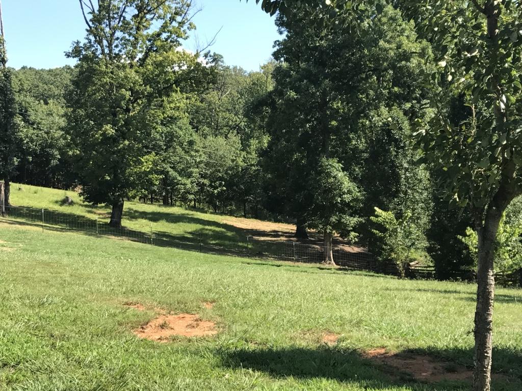 2125 Niles Ferry Road Greenback, TN 37742 - Photo 9 of 33 thumb_IMG_0674_1024