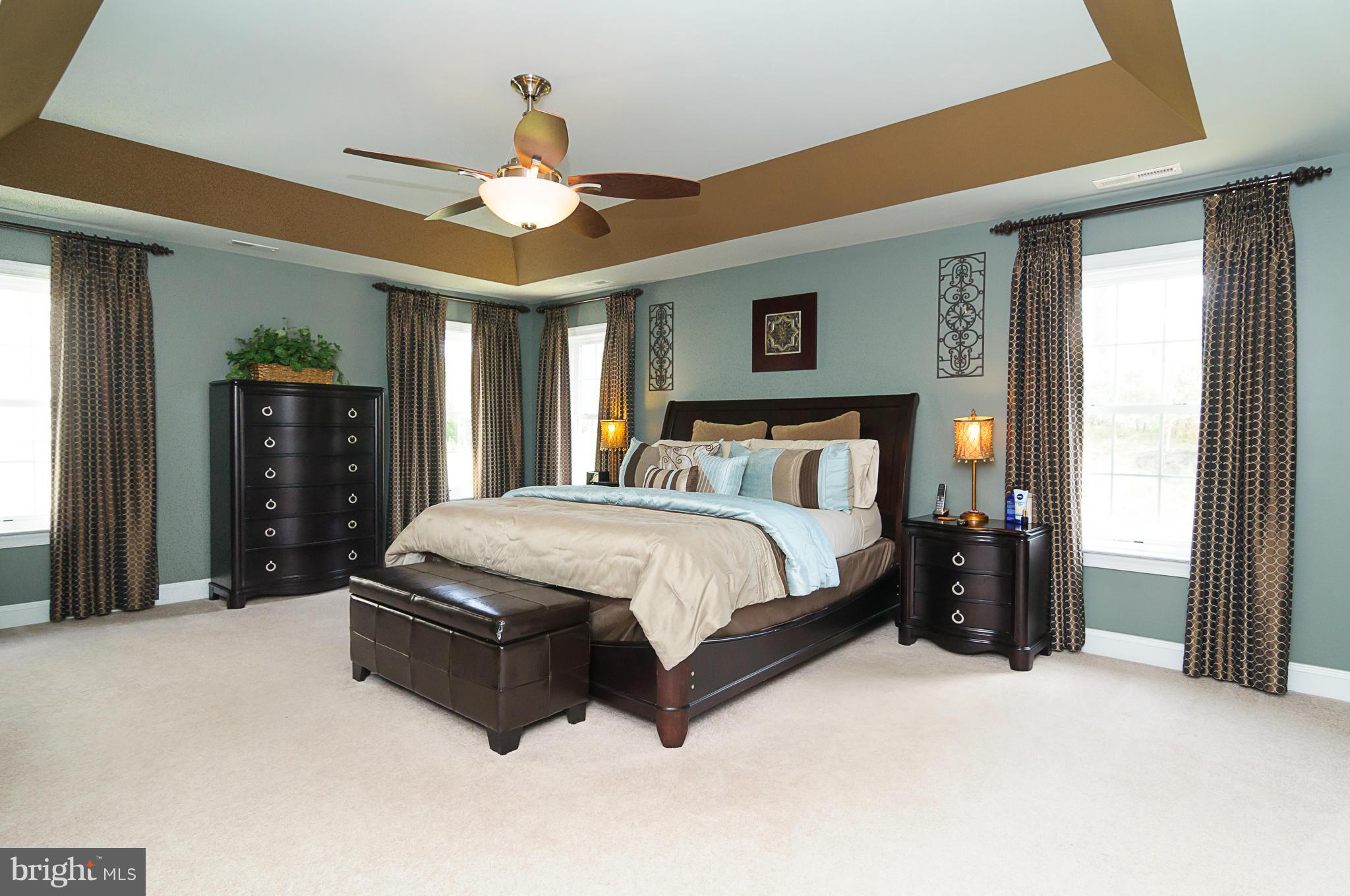 8323 Academy Road Ellicott City, MD 21043 - Photo 14 of 30 Master w/tray ceiling
