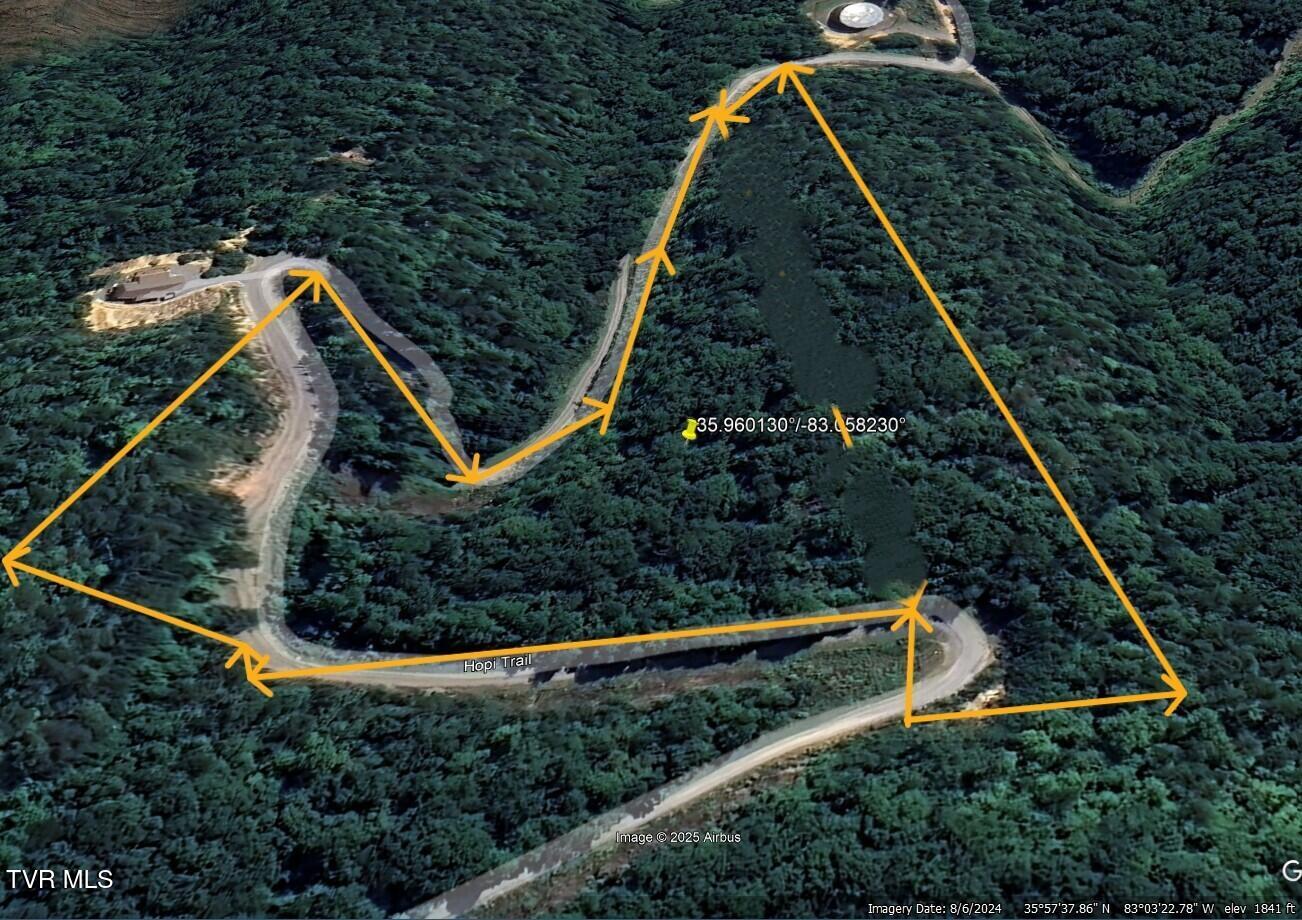 Google Earth View