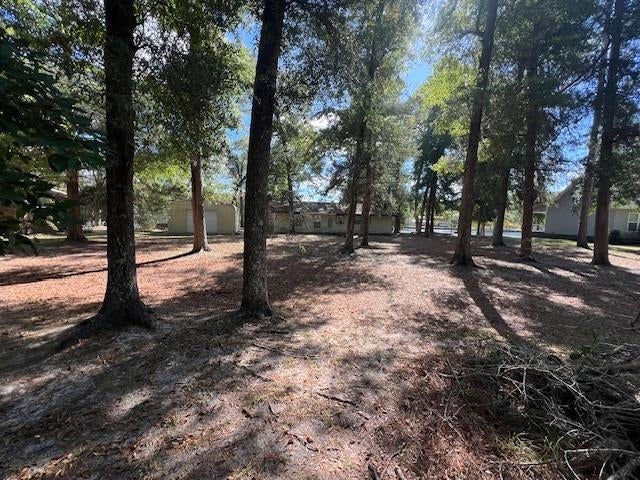 26314 Bush Isle Road Andalusia, AL 36421 - Photo 4 of 22 Gallery Image 4