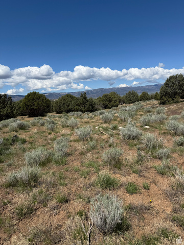15 Old Highway 89, Unit 15 Spring City, UT 84662 - Photo 3 of 9