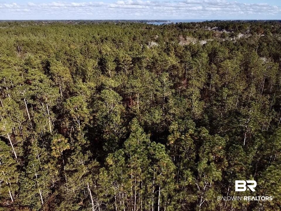 0 Riverview Pointe Drive Theodore, AL 36582 - Photo 2 of 21