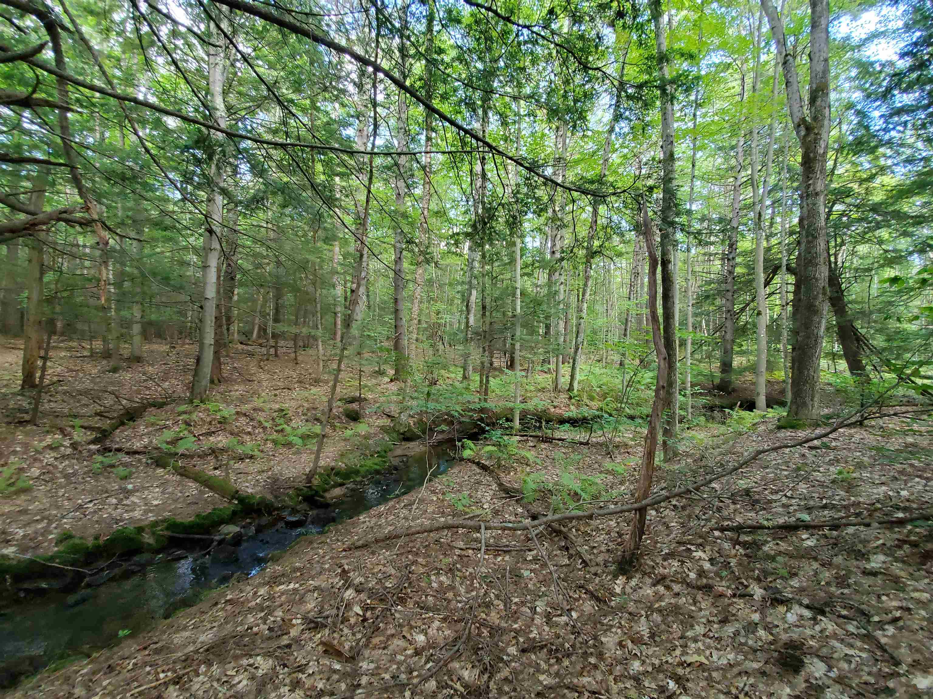 Lot 7 Nh Rt 140 Gilmanton, NH 03237 - Photo 14 of 31
