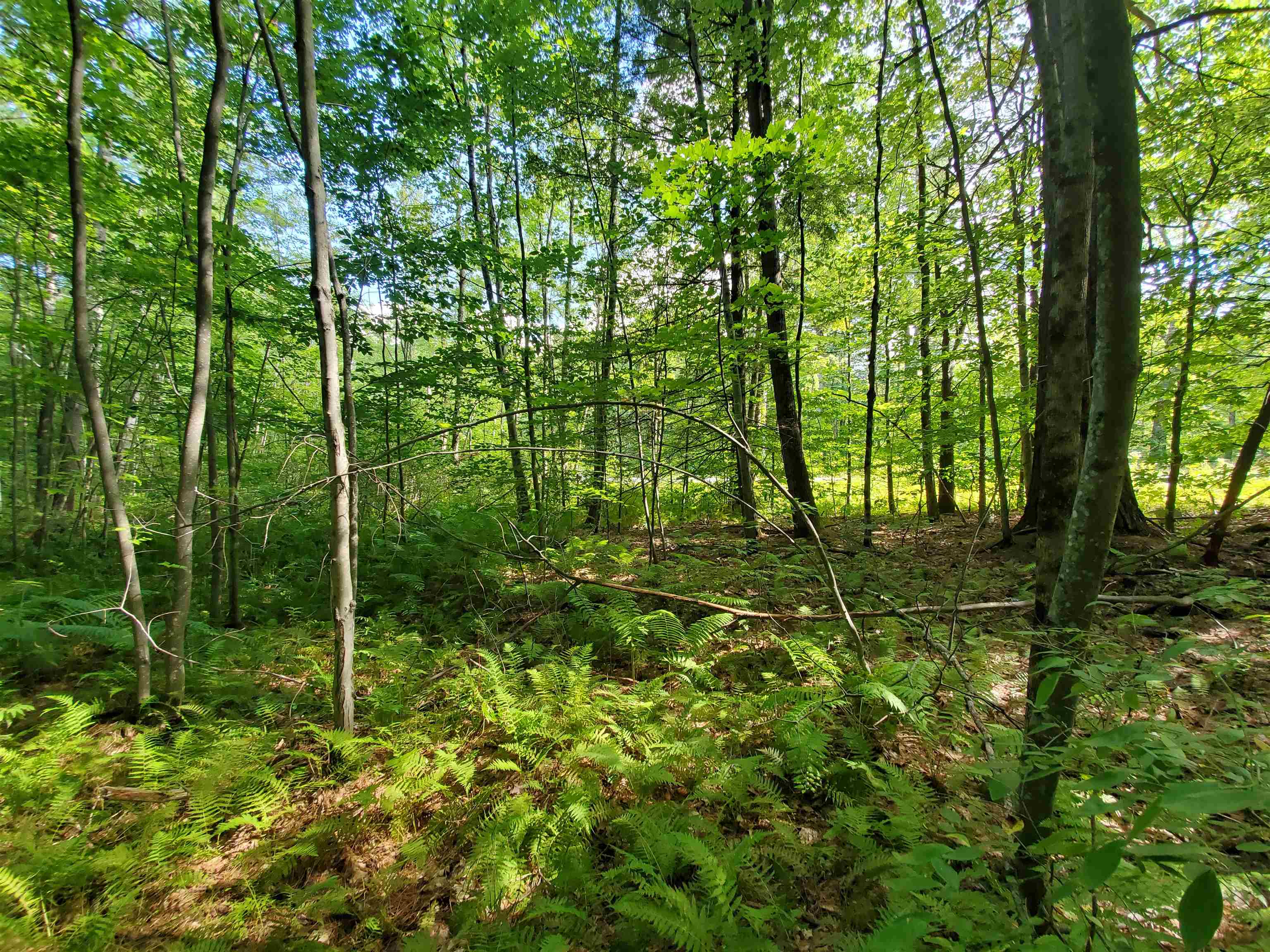 Lot 7 Nh Rt 140 Gilmanton, NH 03237 - Photo 19 of 31