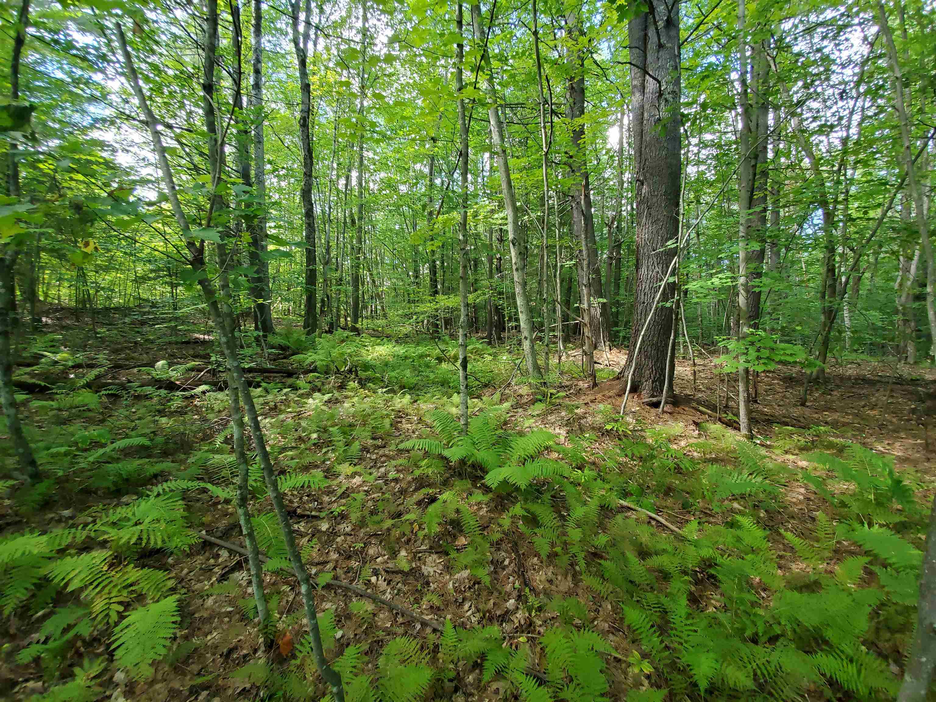 Lot 7 Nh Rt 140 Gilmanton, NH 03237 - Photo 20 of 31
