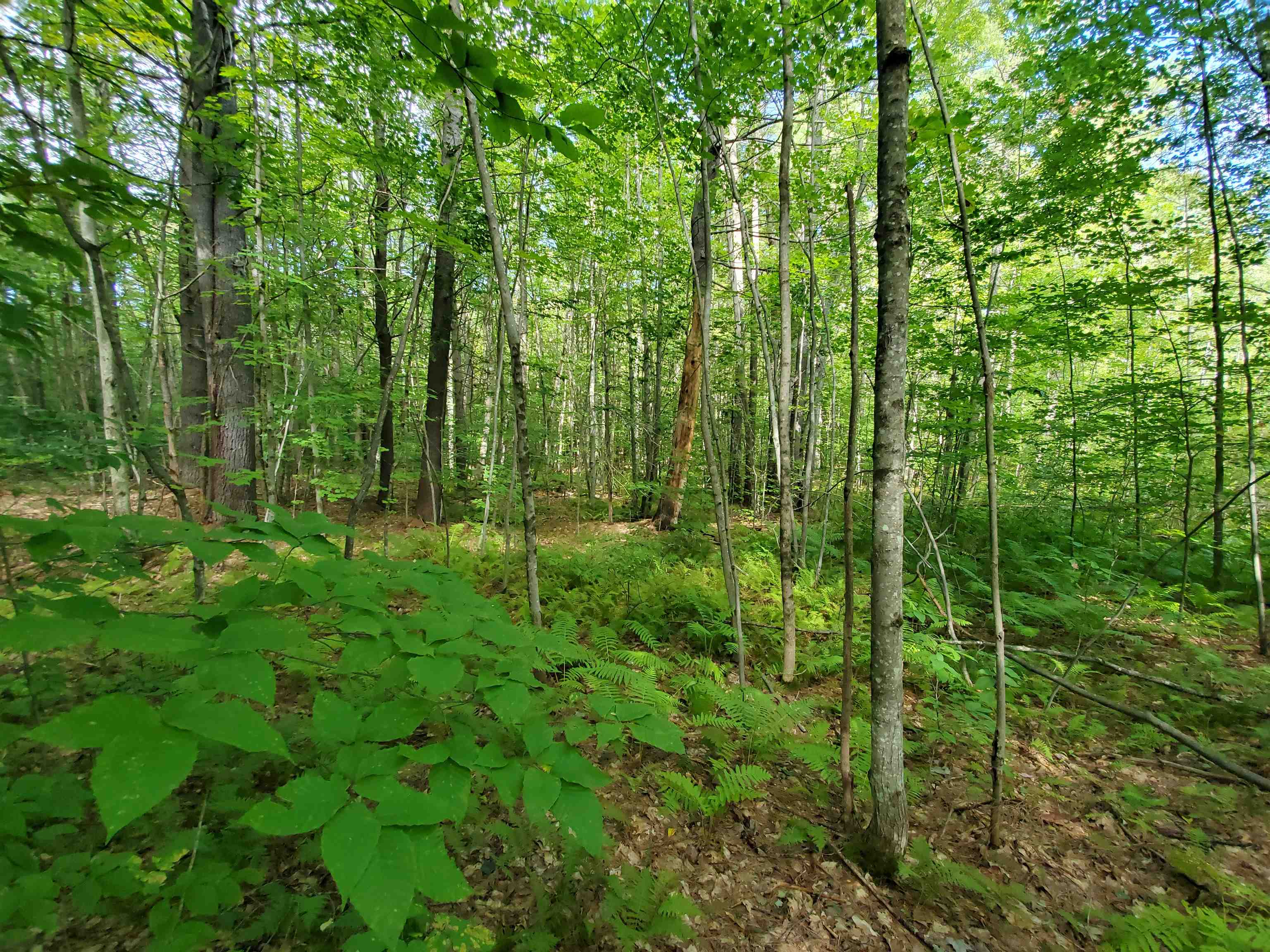 Lot 7 Nh Rt 140 Gilmanton, NH 03237 - Photo 21 of 31