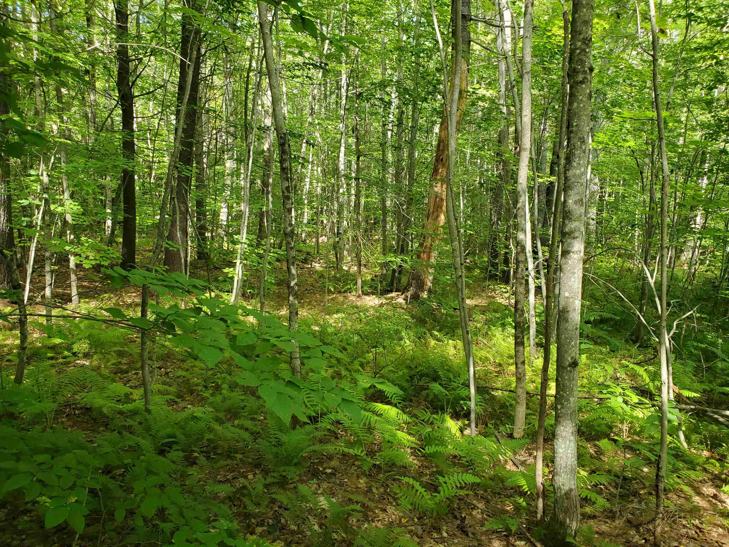Lot 7 Nh Rt 140 Gilmanton, NH 03237 - Photo 22 of 31