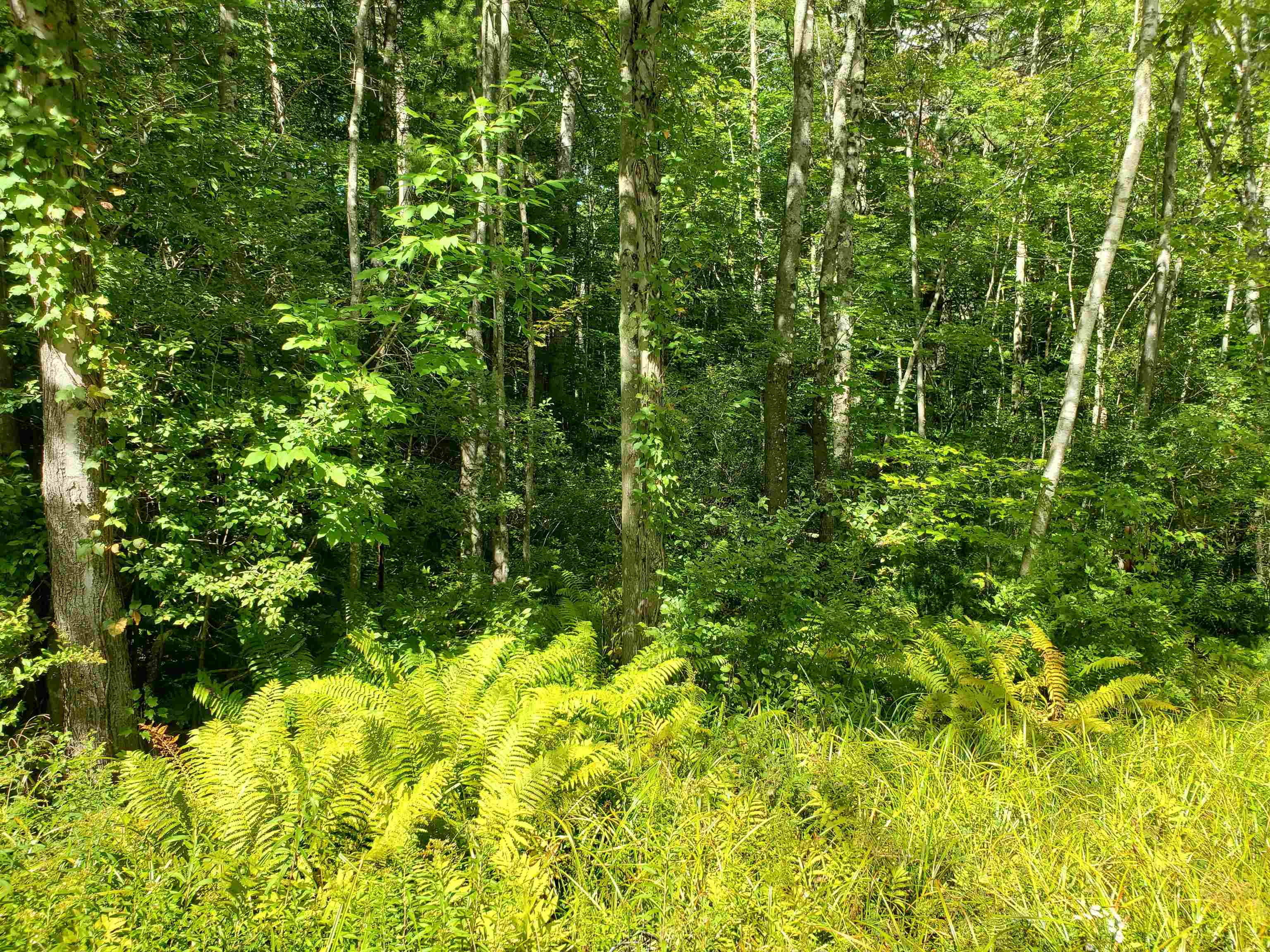 Lot 7 Nh Rt 140 Gilmanton, NH 03237 - Photo 24 of 31