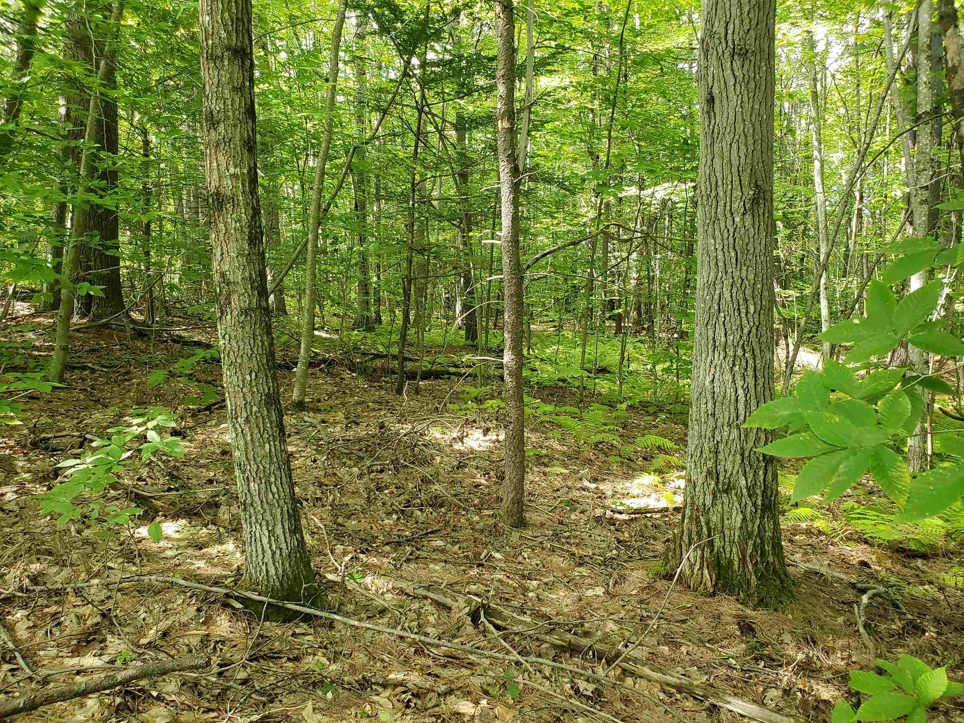 Lot 7 Nh Rt 140 Gilmanton, NH 03237 - Photo 25 of 31