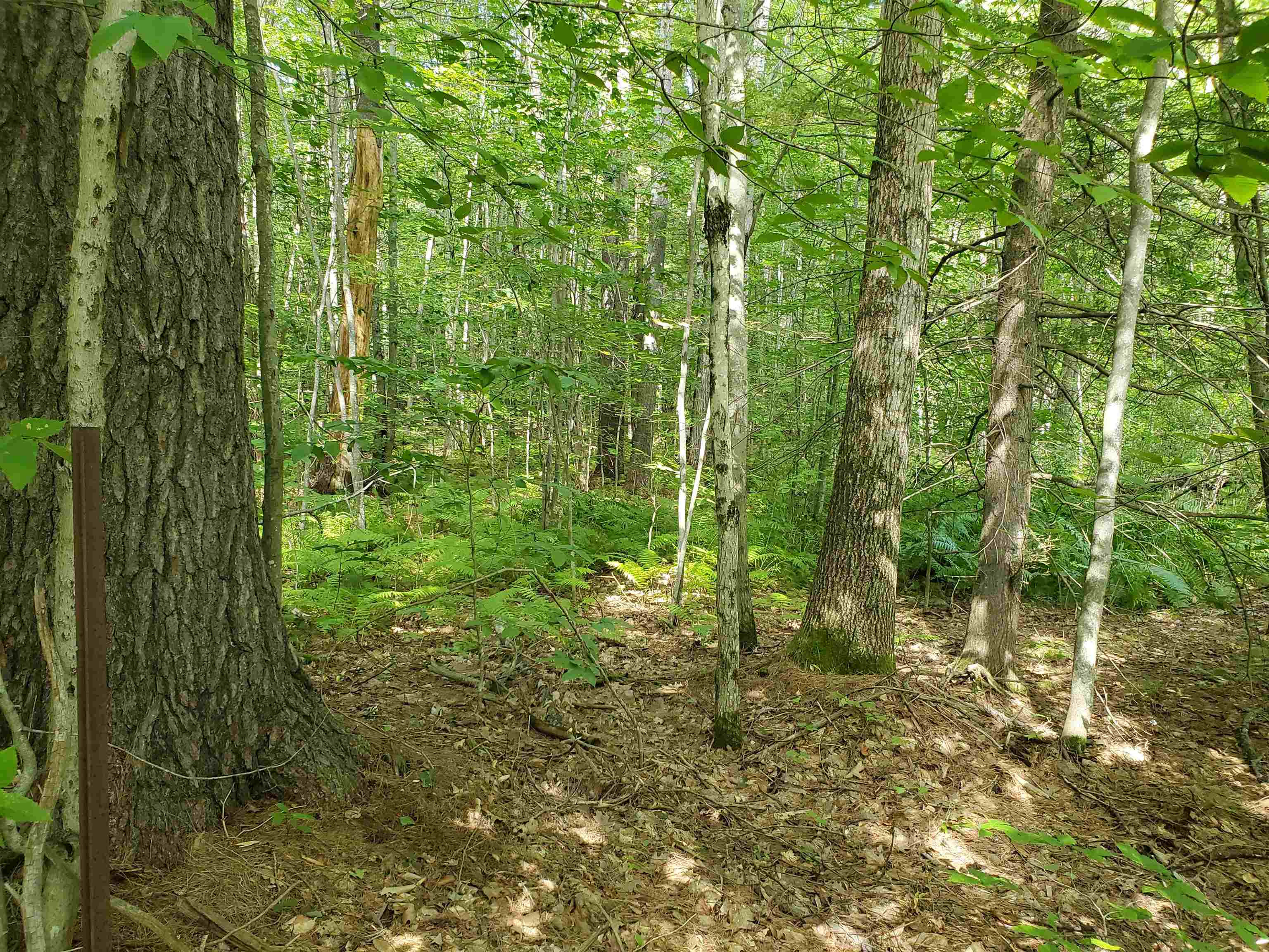 Lot 7 Nh Rt 140 Gilmanton, NH 03237 - Photo 26 of 31