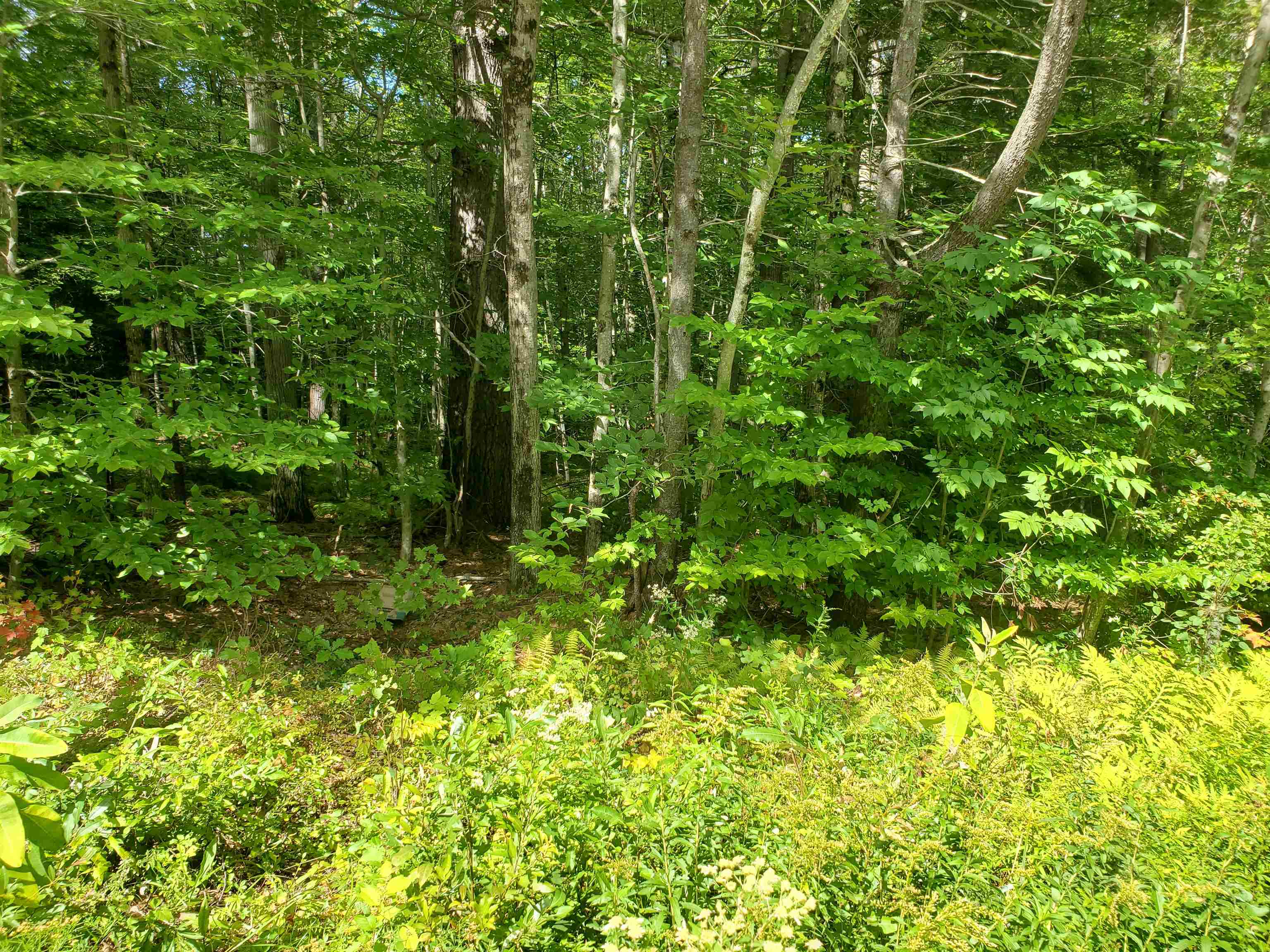 Lot 7 Nh Rt 140 Gilmanton, NH 03237 - Photo 30 of 31