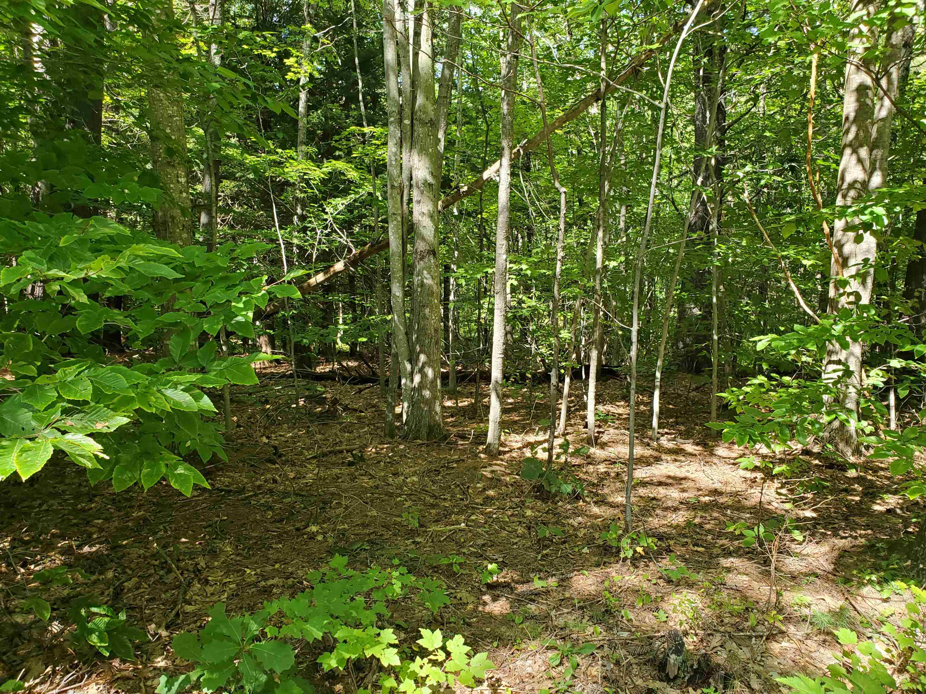 Lot 7 Nh Rt 140 Gilmanton, NH 03237 - Photo 5 of 31
