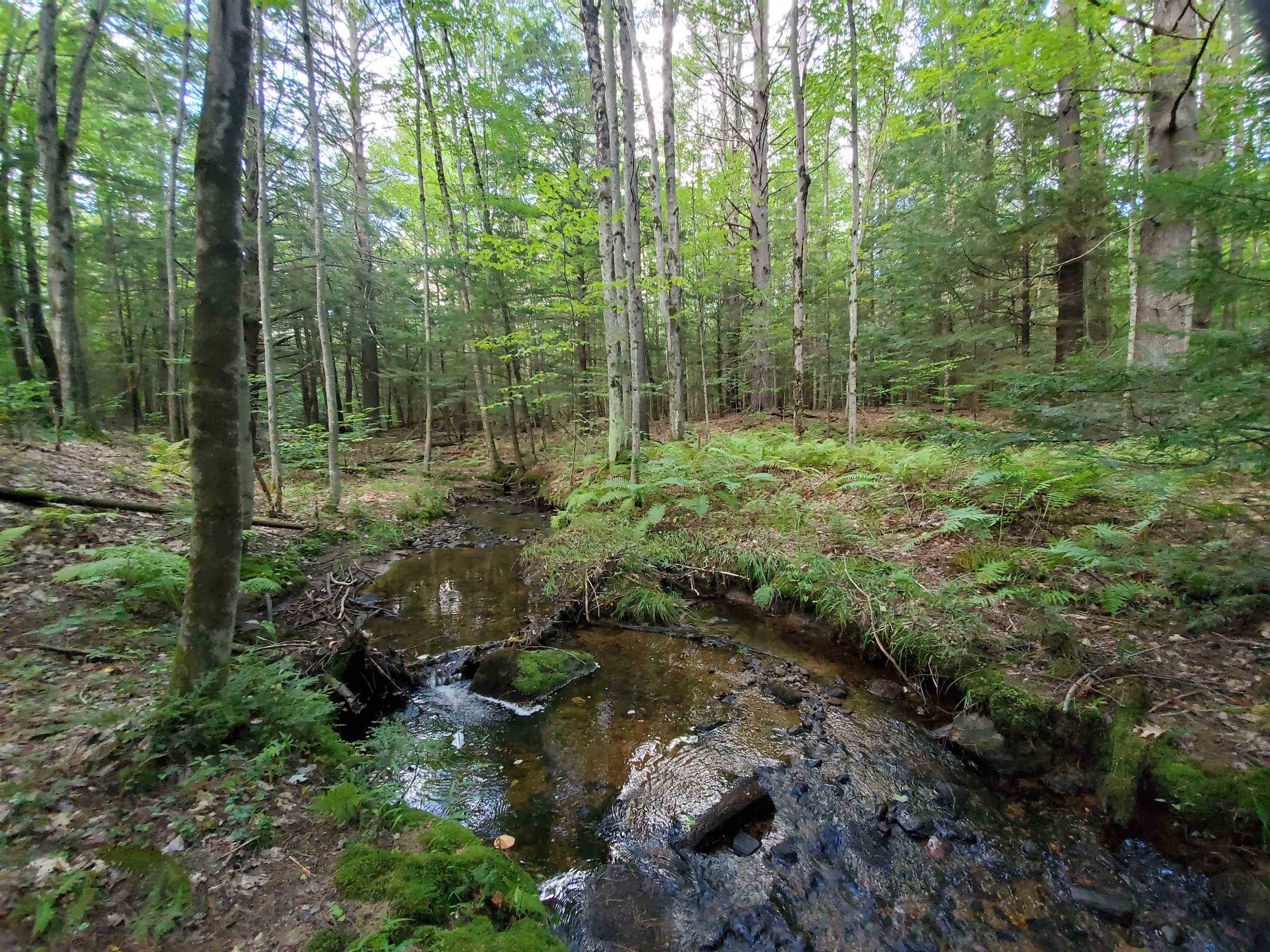 Lot 7 Nh Rt 140 Gilmanton, NH 03237 - Photo 8 of 31