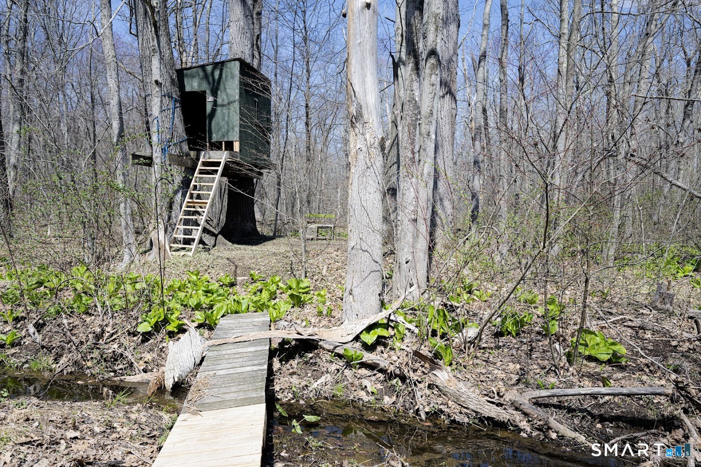 175 Howd Road Durham, CT 06422 - Photo 24 of 25 Tucked into the woods, the treehouse and winding footbridge create the perfect setting for adventure, imagination, and backyard fun.
