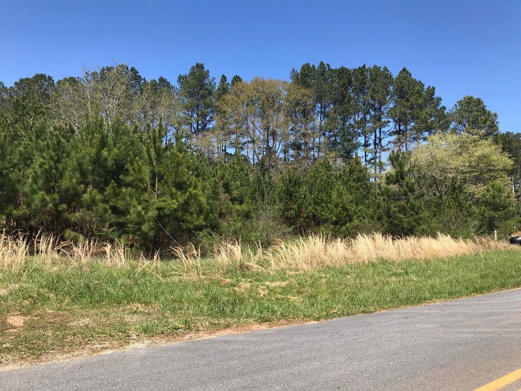 871 Kelly Farm Road Newnan, GA 30265 - Photo 1 of 1 Gallery Image 1