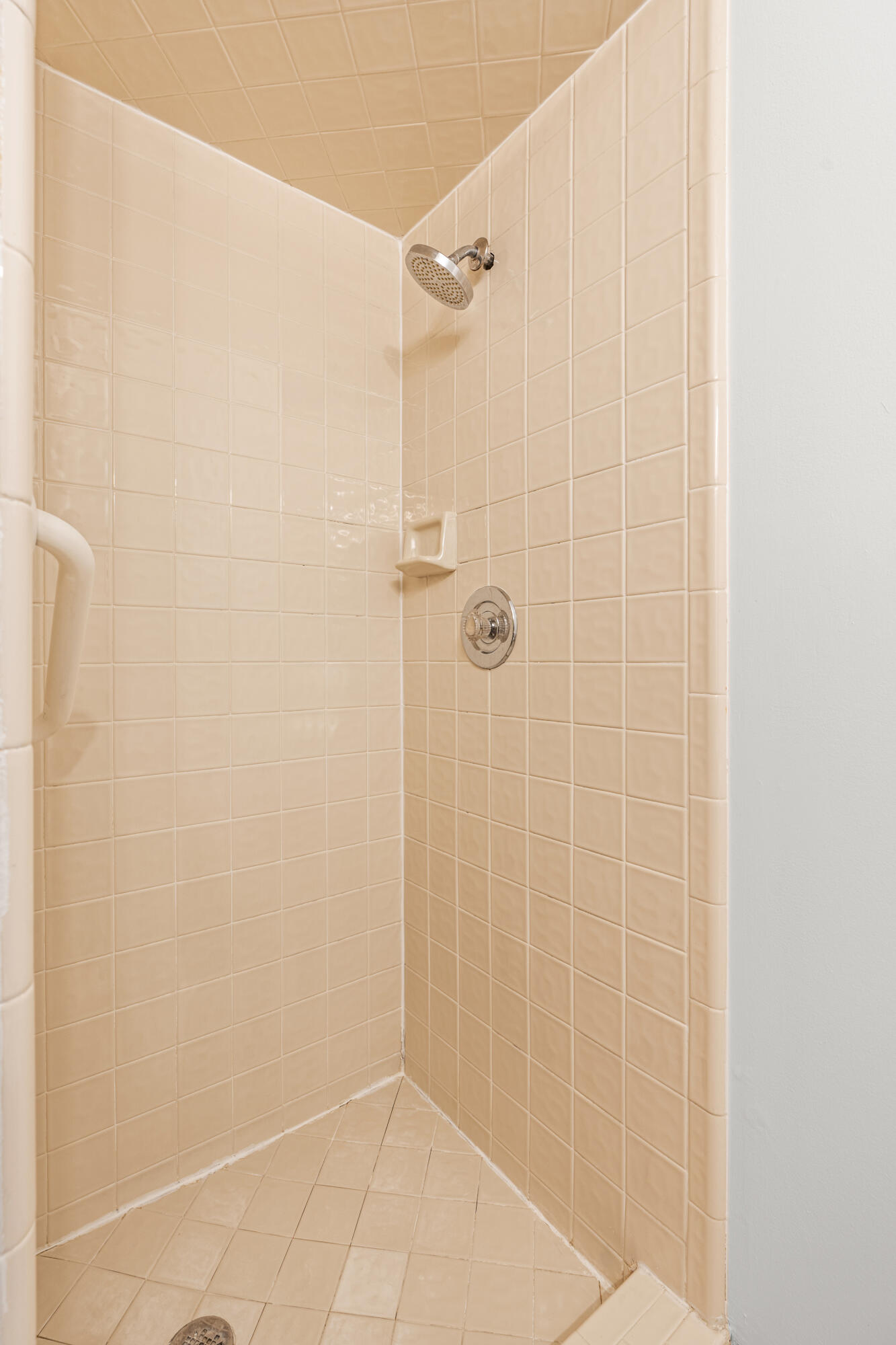 2415 Rochelle Park Drive Rochester Hills, MI 48309 - Photo 17 of 28 MASTER SHOWER