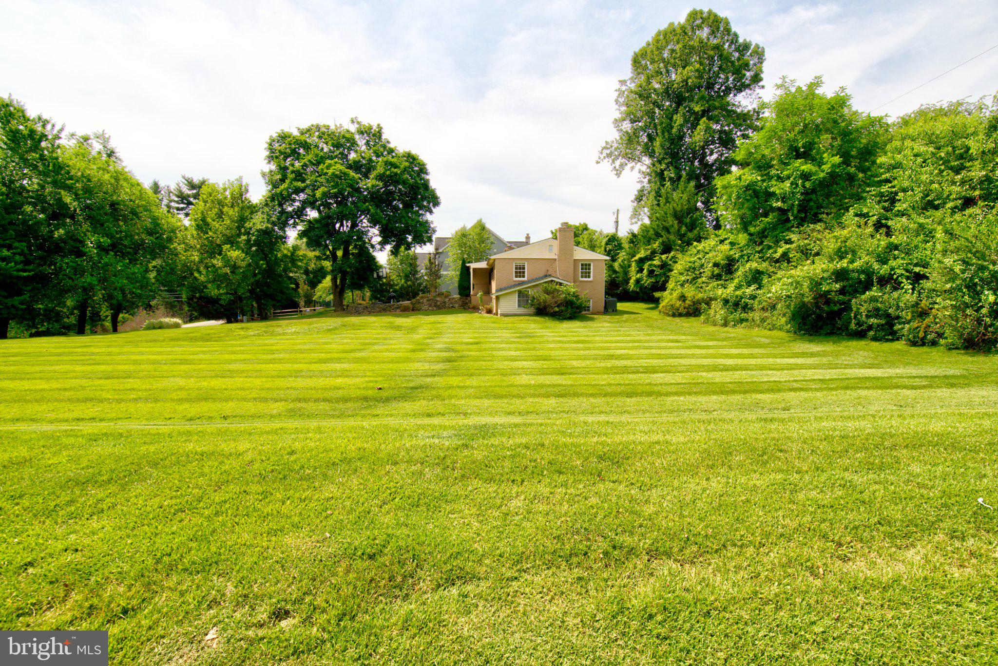 900 Walker Road Great Falls, VA 22066 - Photo 45 of 52 Spacious green oasis awaits you.