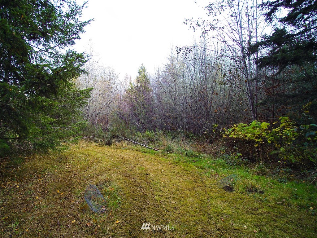 196 Gandalf Road Port Angeles, WA 98363 - Photo 24 of 25 Gallery Image 24