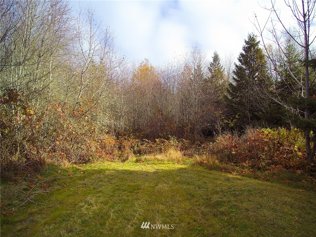 196 Gandalf Road Port Angeles, WA 98363 - Photo 25 of 25 Gallery Image 25