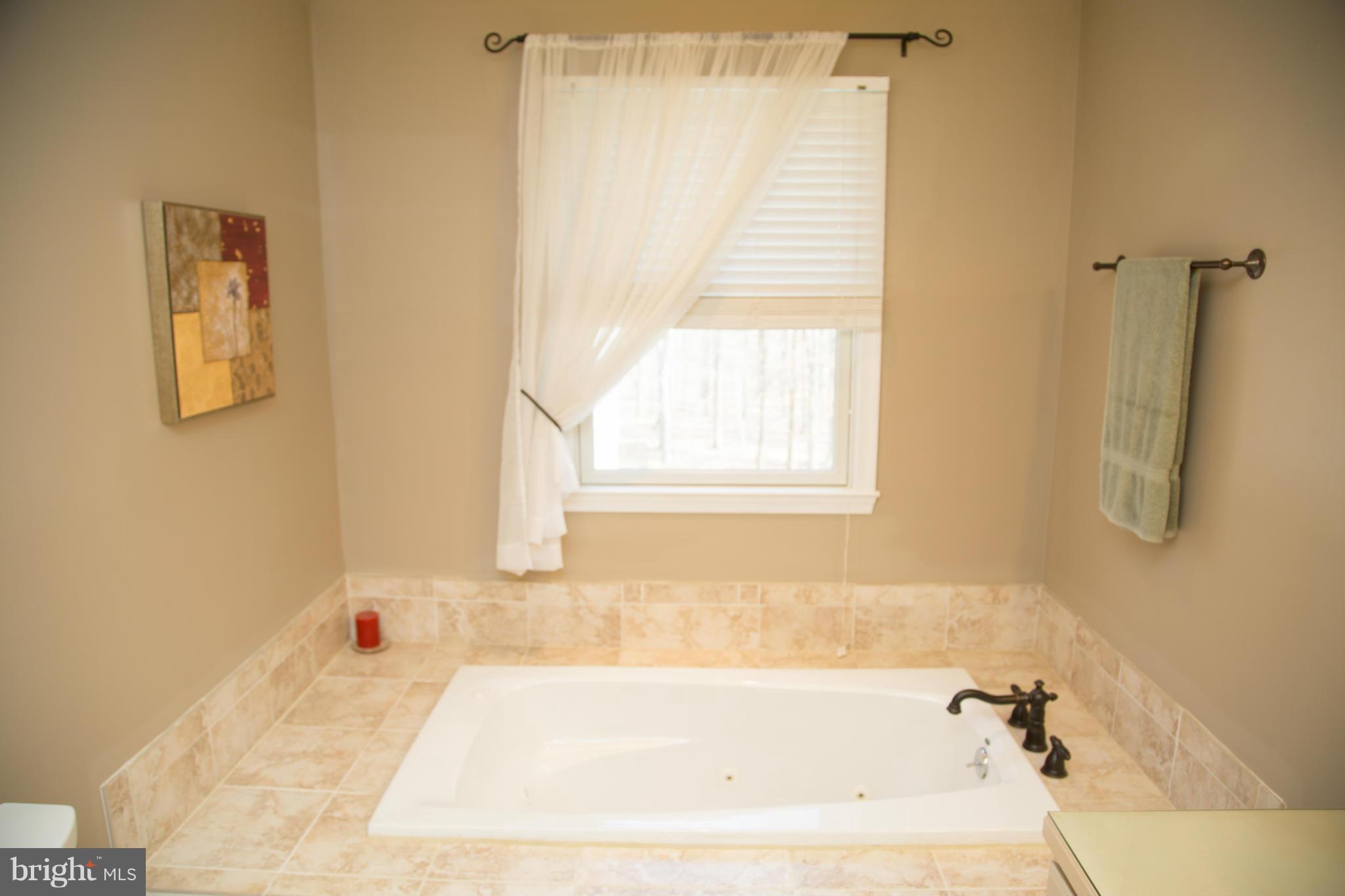358 Craigtown Road Port Deposit, MD 21904 - Photo 10 of 29 Master Bath Soaking Tub