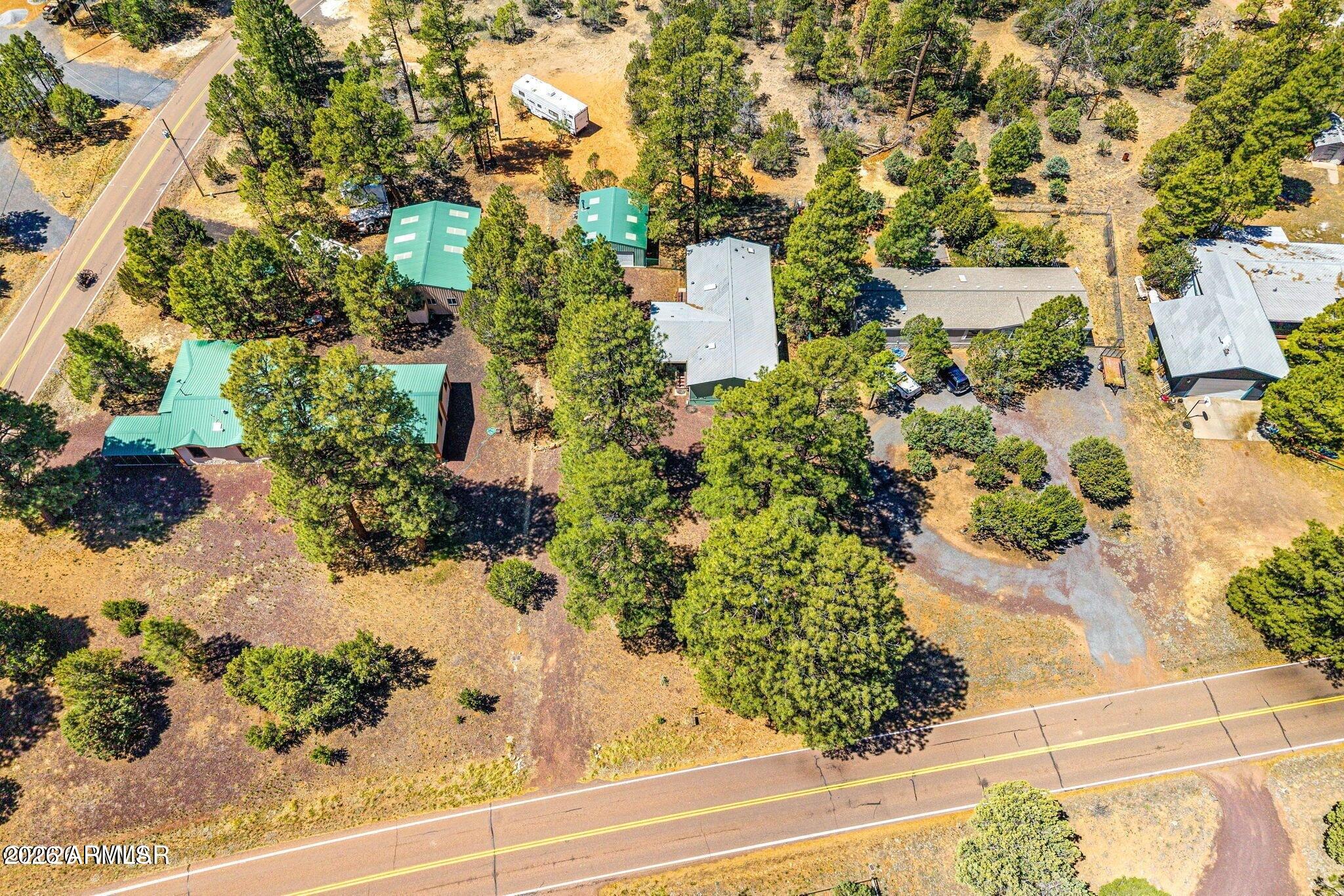 2908 Pine Rim Road, Unit LOT 7 Overgaard, AZ 85933 - Photo 20 of 24 a view of a garden with plants