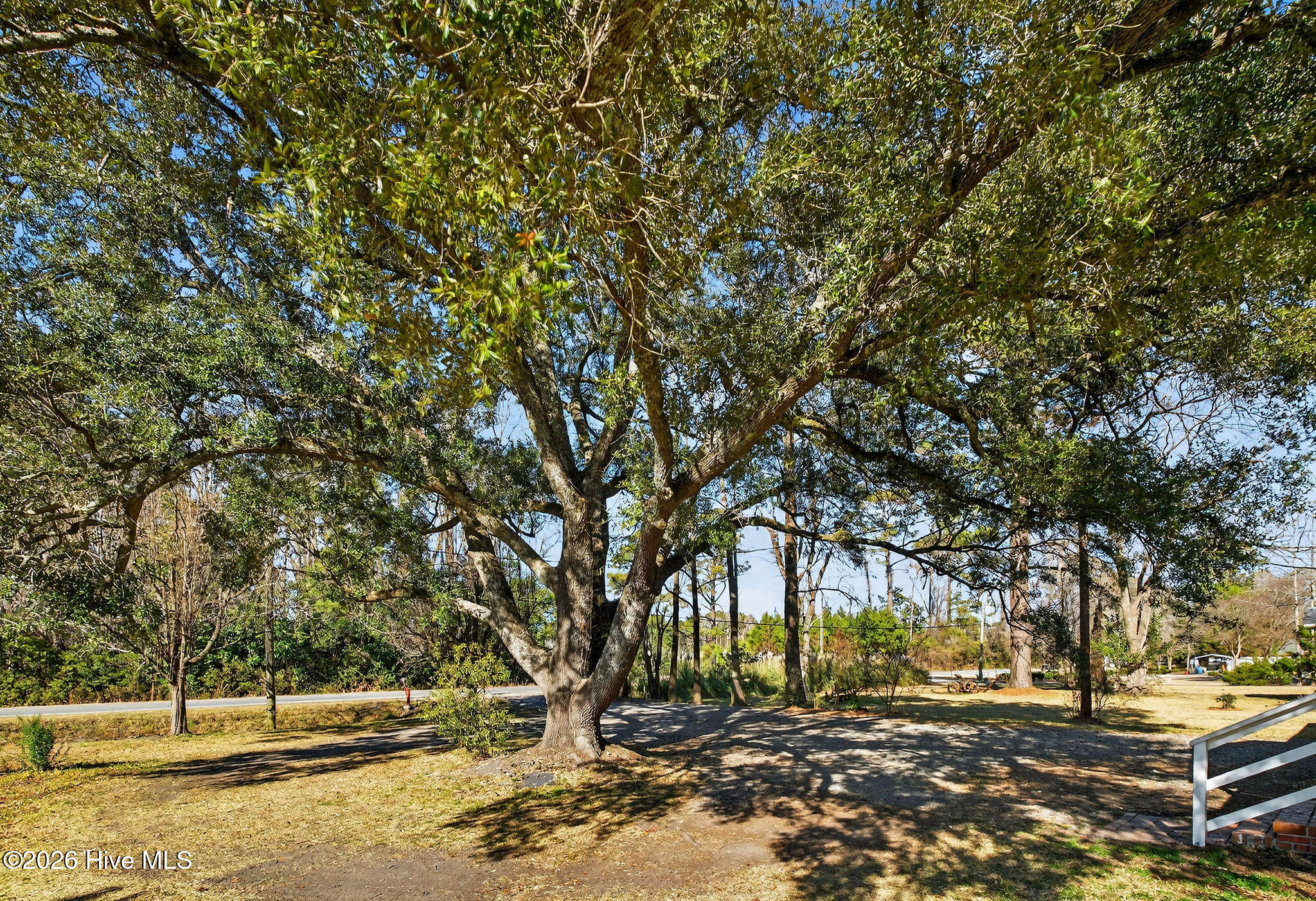 4516 Castle Hayne Road Castle Hayne, NC 28429 - Photo 40 of 44 4516CastleHayneRoad-29