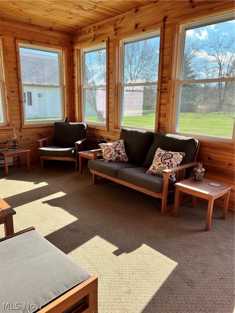 8160 Greenwich Road Lodi, OH 44254 - Photo 17 of 29 Lots of windows for a beautiful view.