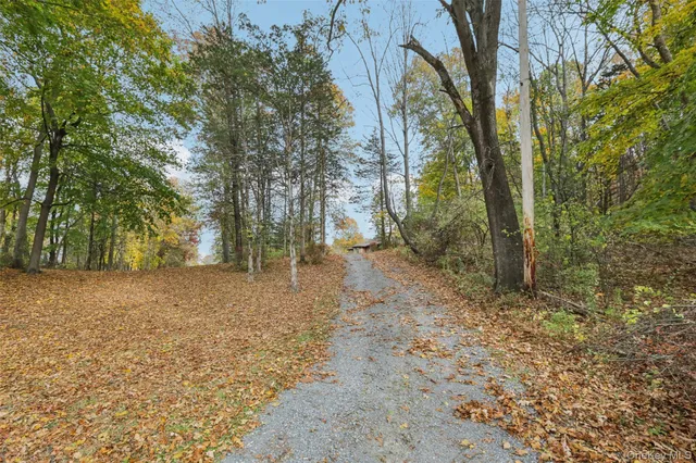 a view of a yard with trees