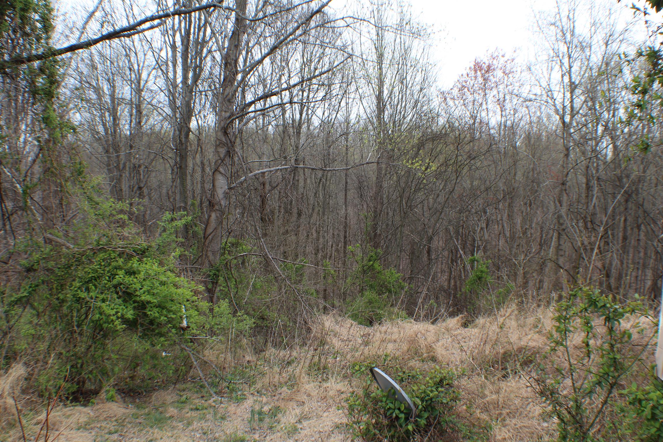 720 Mt Vernon Road Bethpage, TN 37022 - Photo 9 of 18