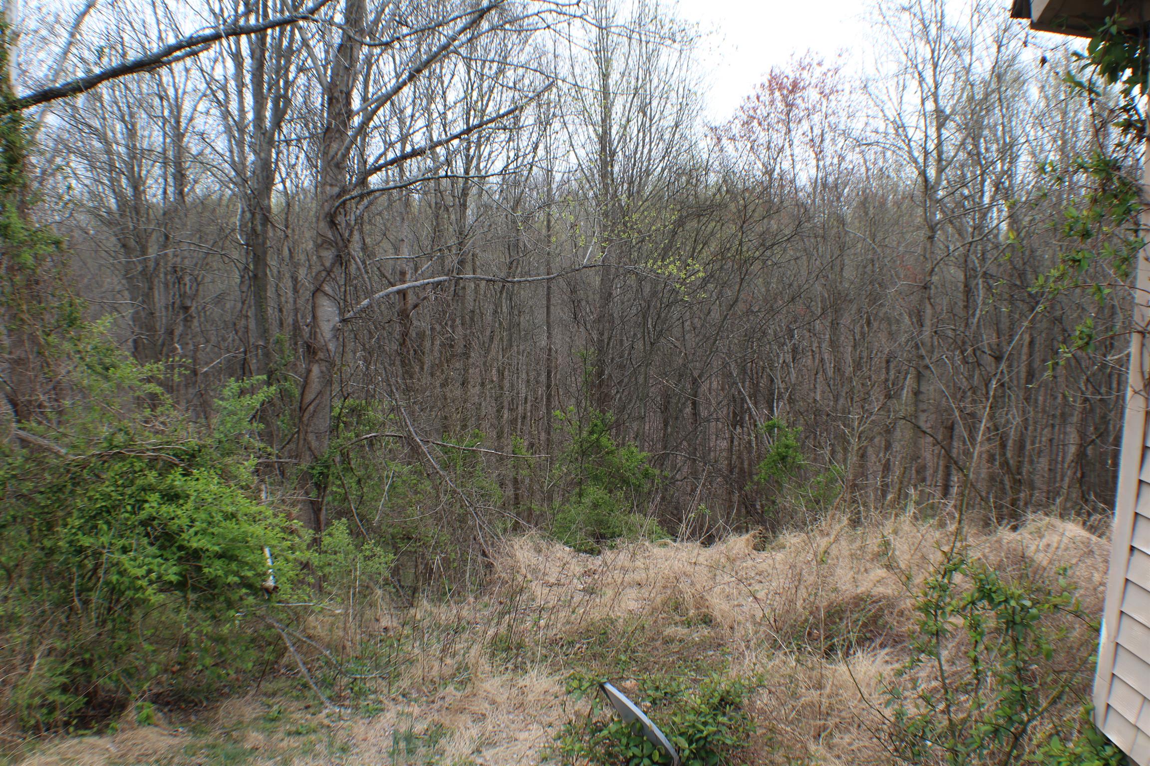 720 Mt Vernon Road Bethpage, TN 37022 - Photo 10 of 18