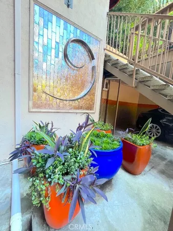 a view of a potted flower in the yard next to a building
